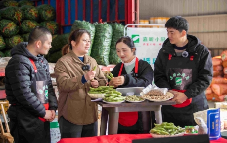 又到蠶豆飄香時