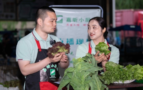 千金如玉，一口清心--生菜?油麥菜?萵筍直播專場(chǎng)